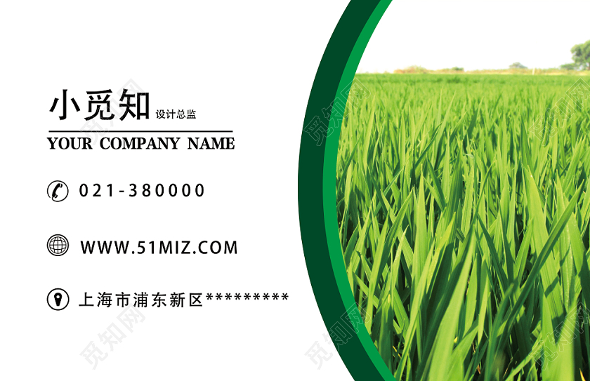 绿色简约玉米名片