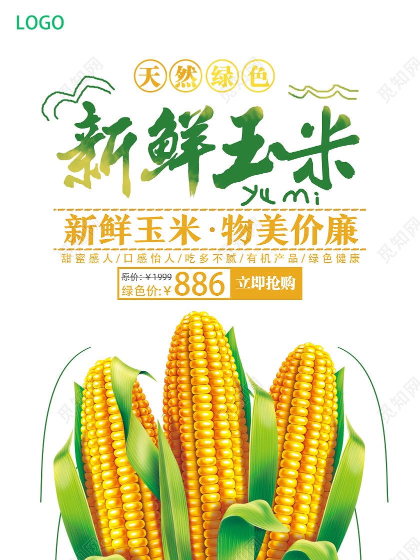 白色简洁新鲜玉米玉米海报