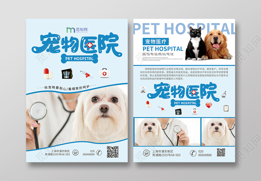 浅蓝色简约宠物医院宣传单页