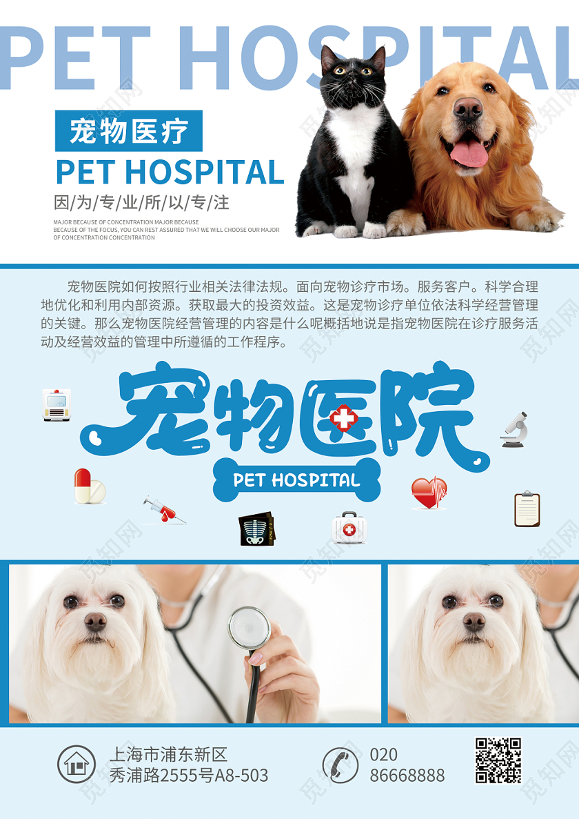 浅蓝色简约宠物医院宣传单页