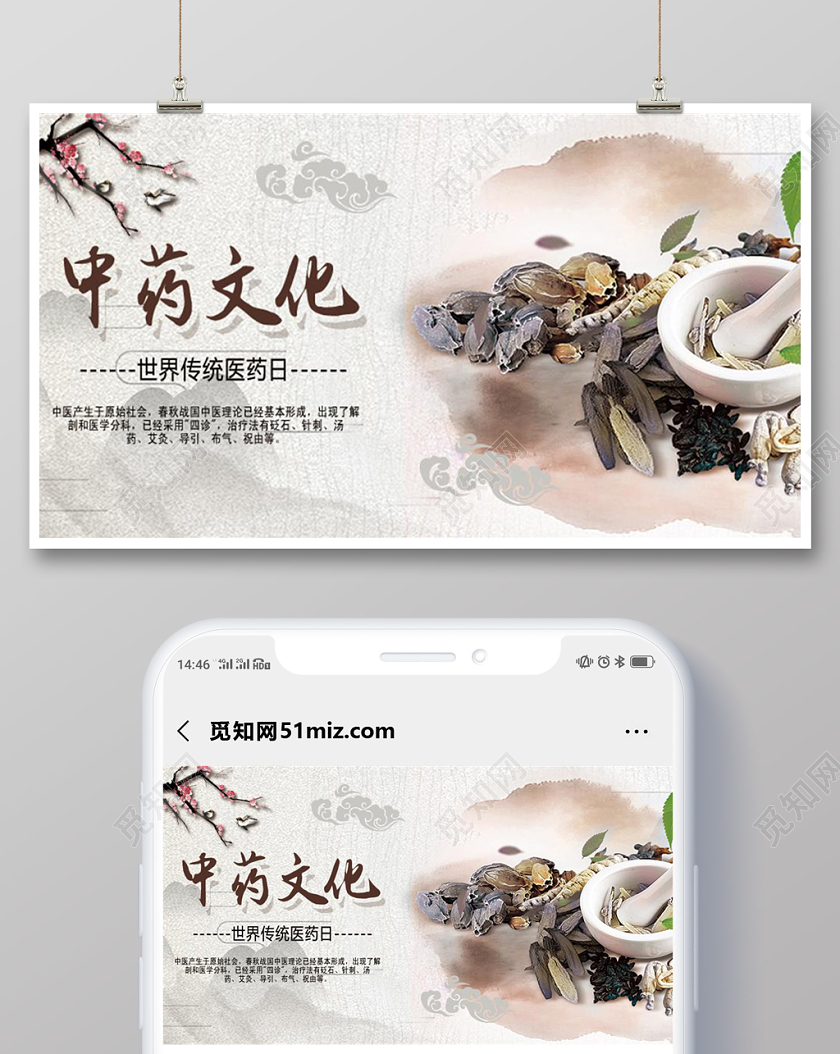 中药文化世界传统医药日宣传微信首图