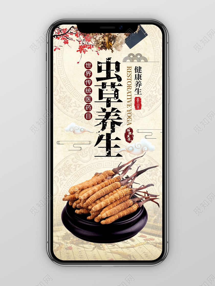 虫草养生世界传统医药日手机海报