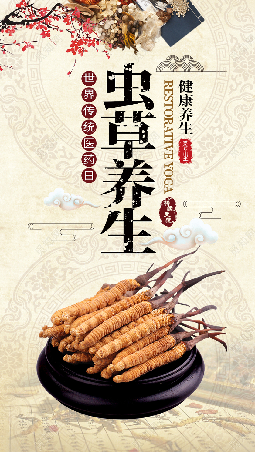 虫草养生世界传统医药日手机海报