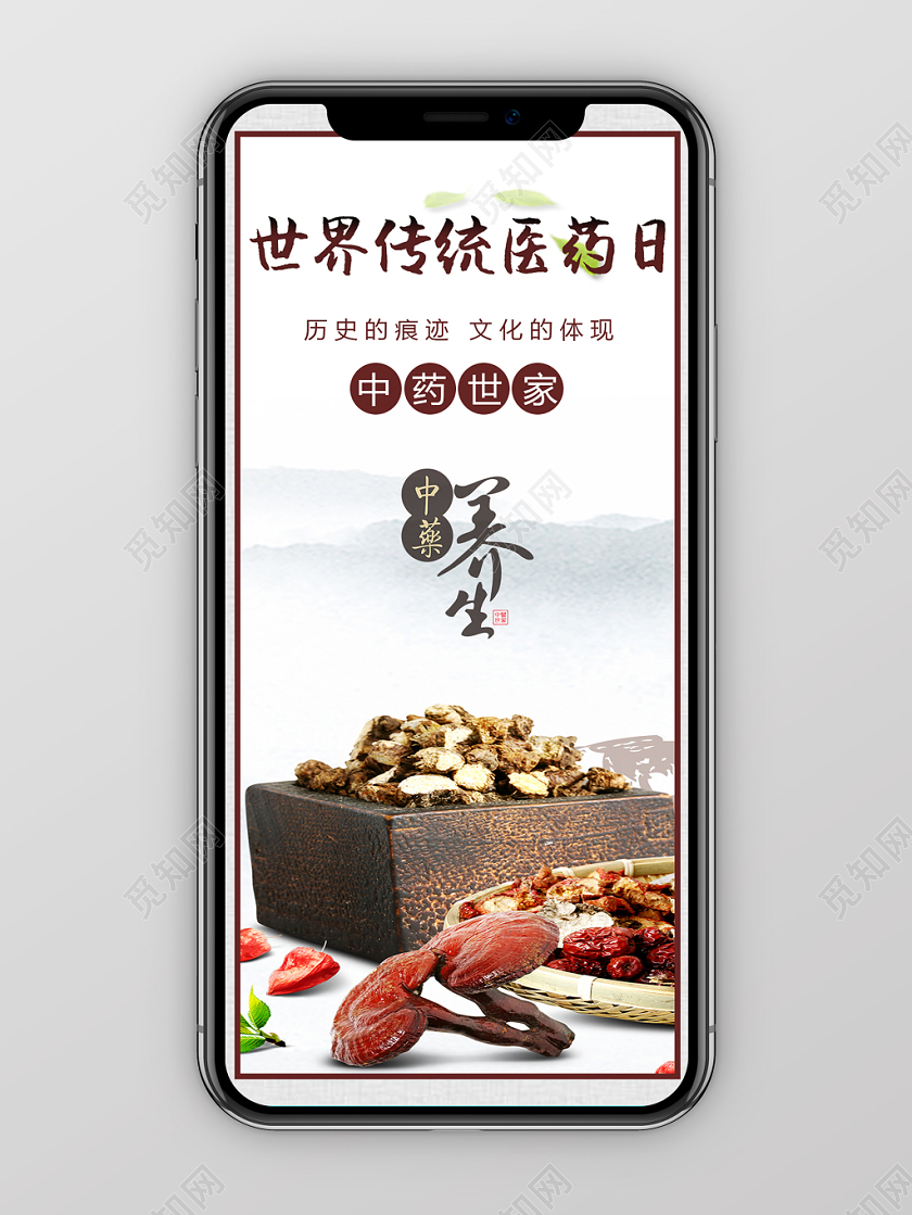 中国风中药世家世界传统医药日手机海报