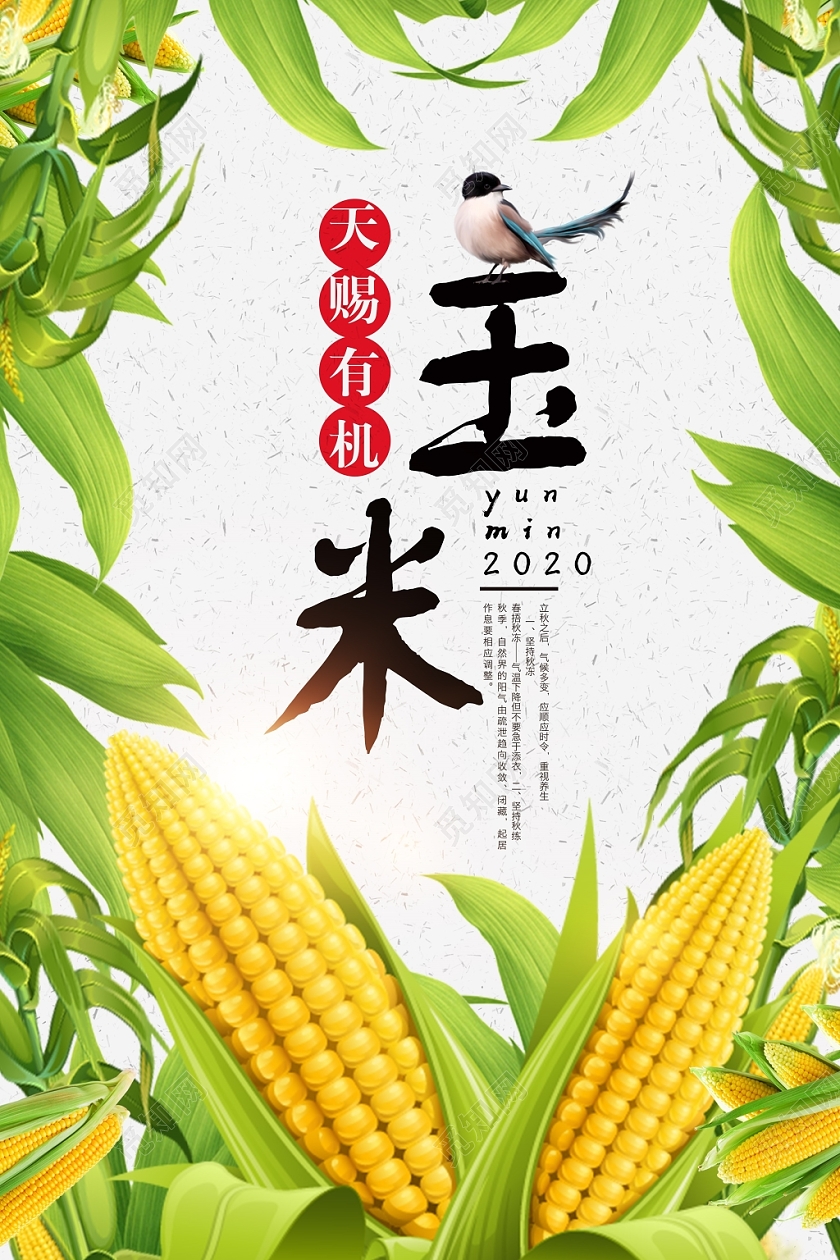 简约卡通农产品玉米玉米汁促销海报