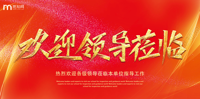 欢迎领导莅临指导工作展板设计