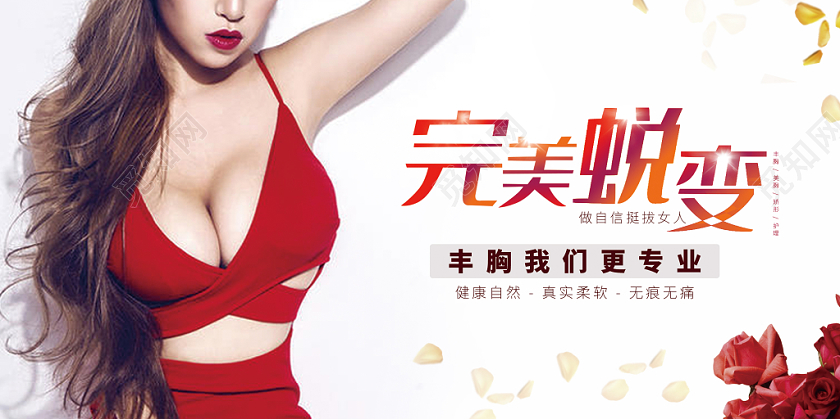 简约美容养生丰胸展板