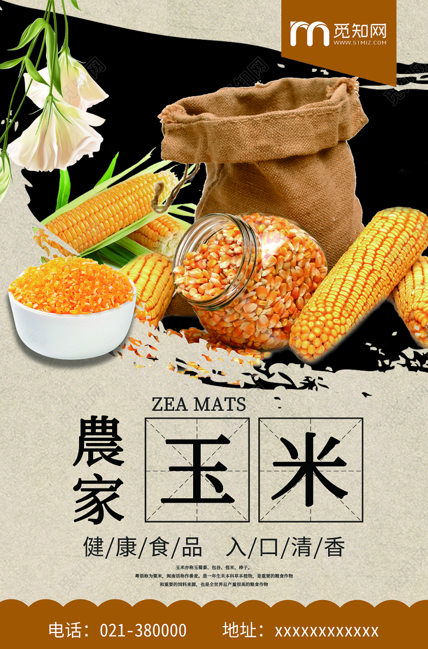 简约风健康食品農家玉米健康玉米宣传宣传海报