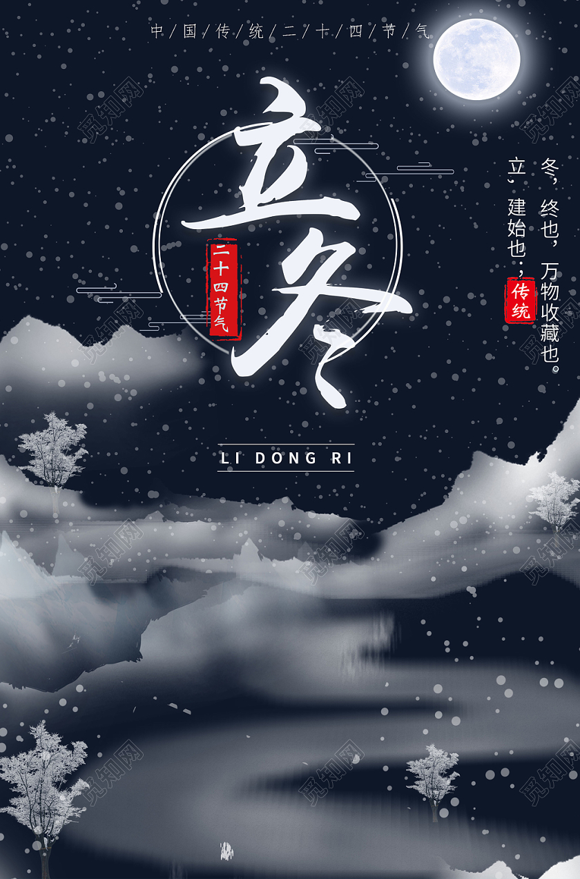 静谧黑雪花夜景立冬节气创意海报
