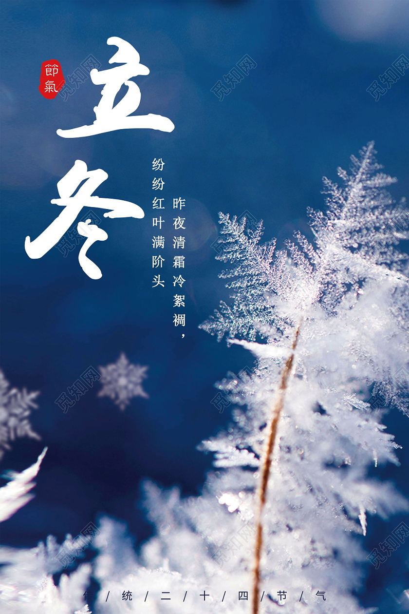 立冬传统节气二十四节气中国传统简约雪花蓝色背景海报