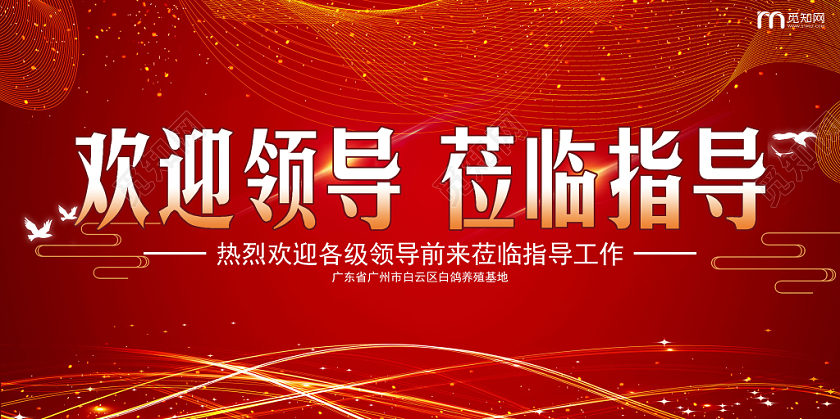 红色纹理线条欢迎领导莅临指导会议展板