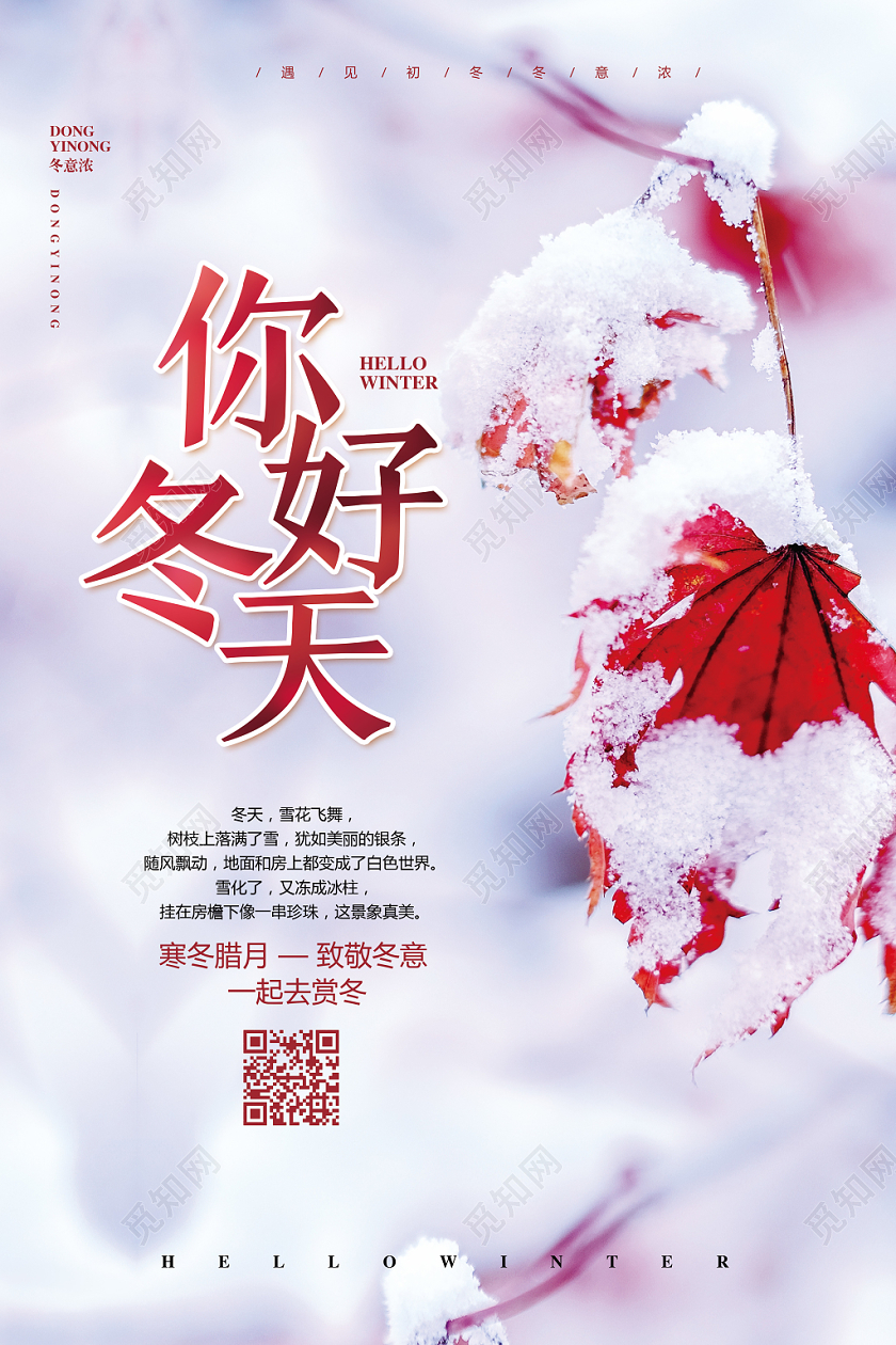 实景红色简约你好冬天冬季宣传海报设计
