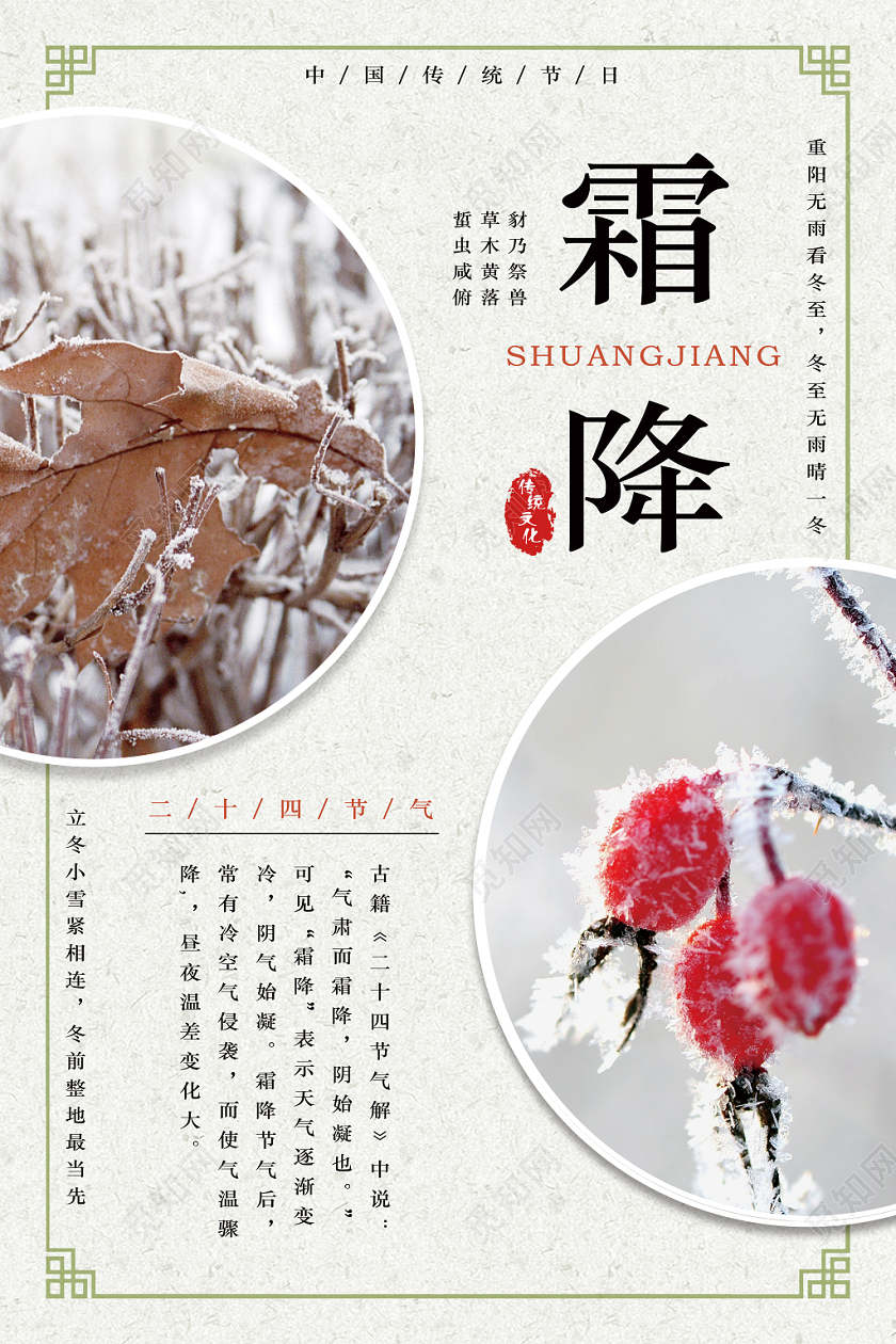 清新创意霜降宣传海报