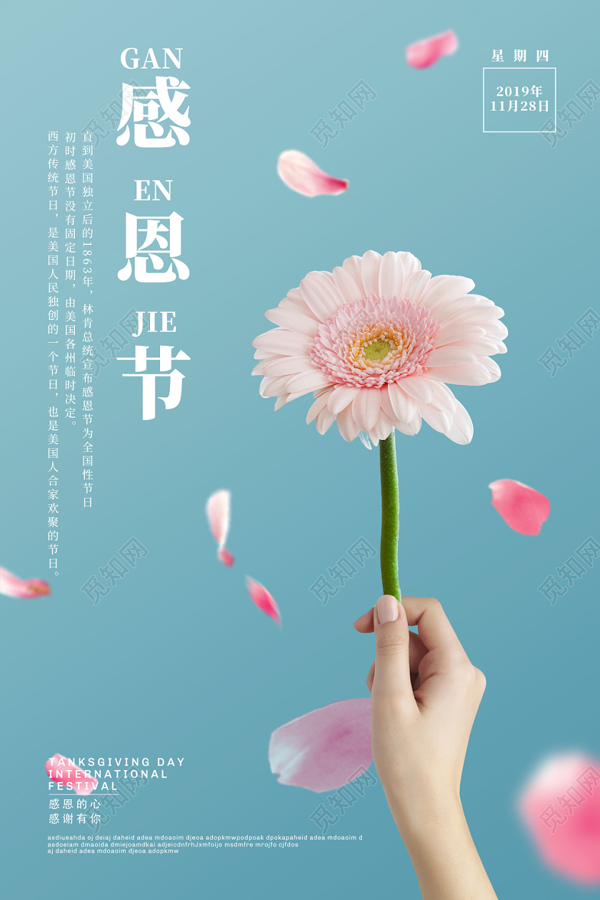 简约手拿鲜花感恩节海报