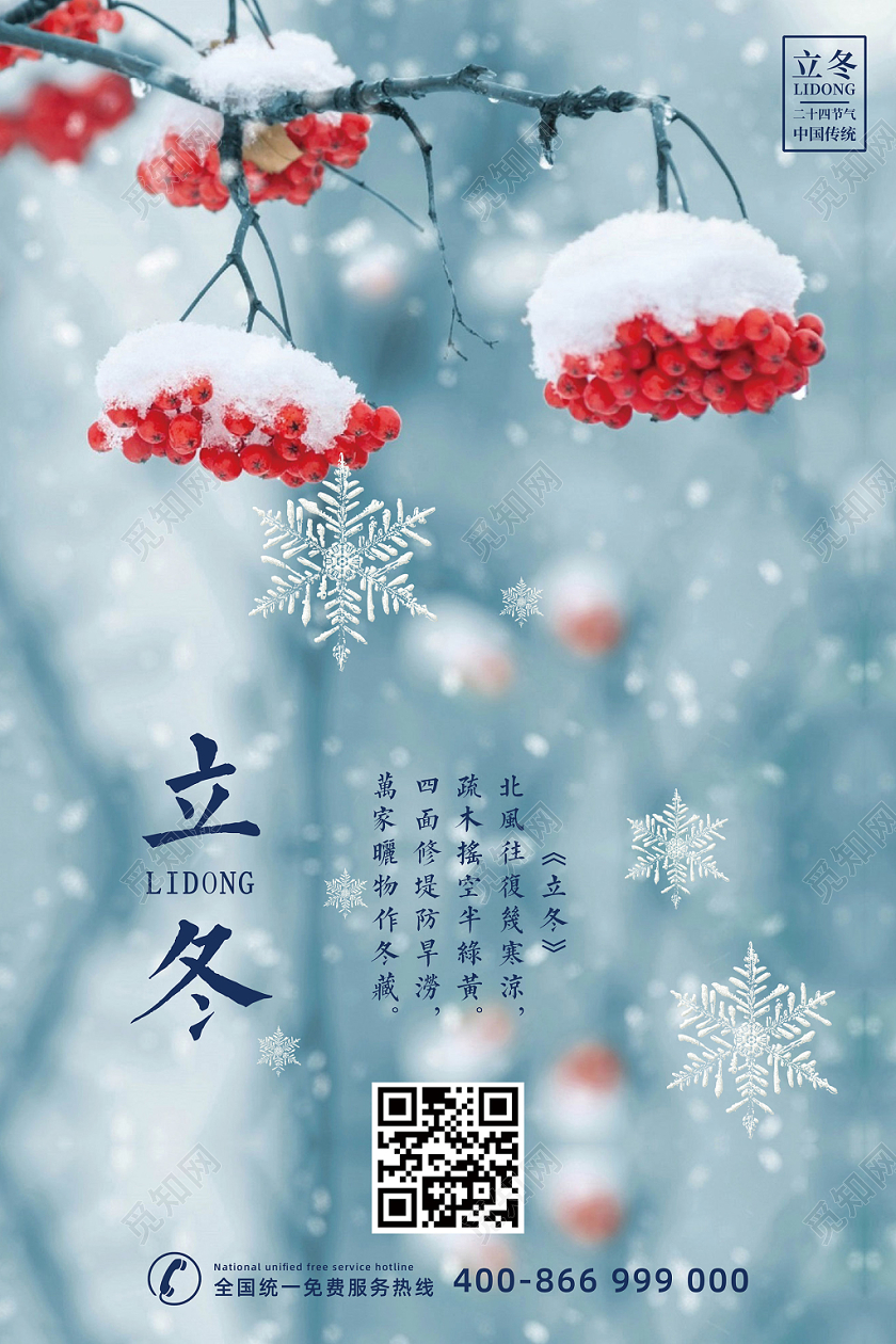 简约商务风冰雪冬梅雪景立冬冬天冬季海报