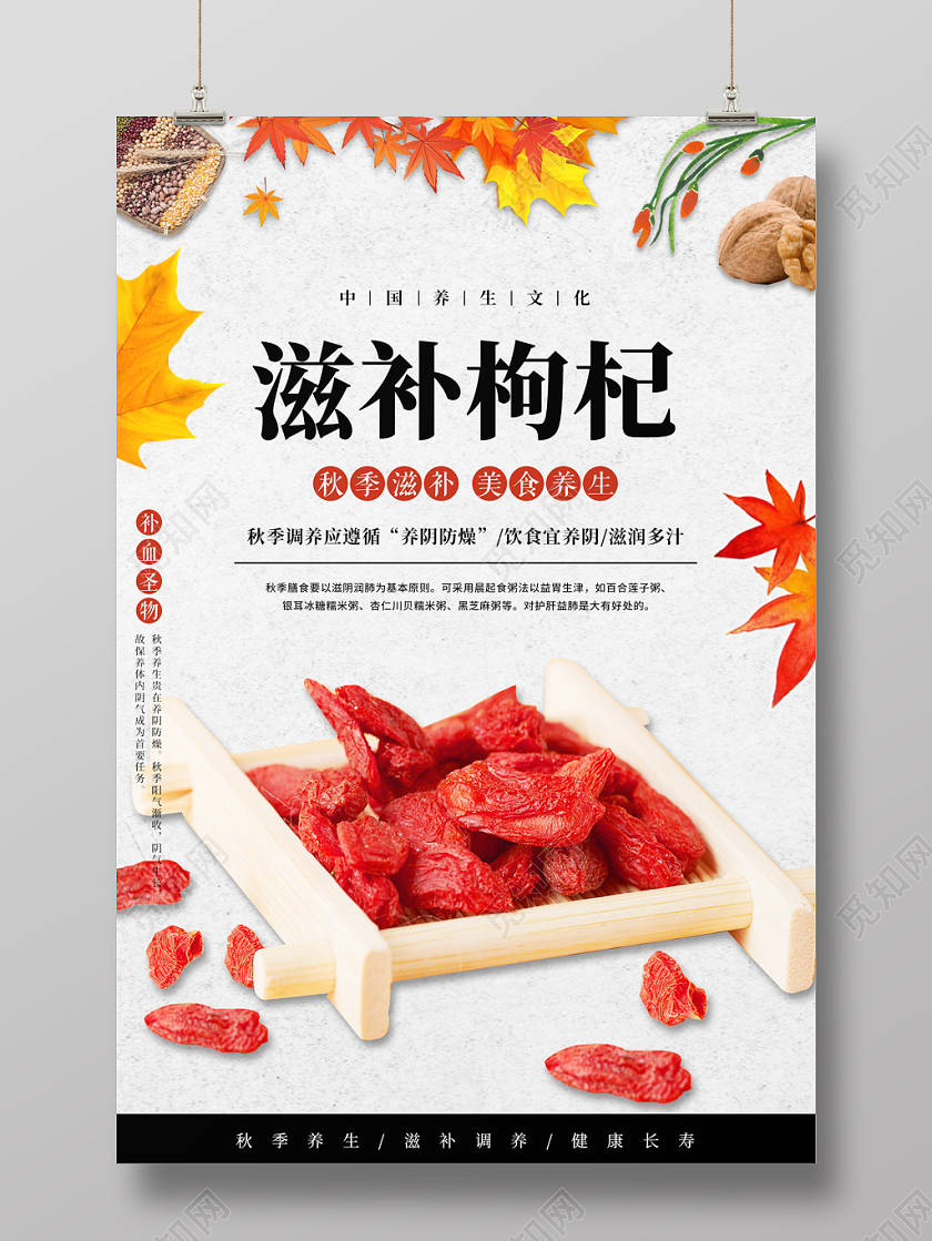 简约大气滋补枸杞秋季养生文化宣传海报