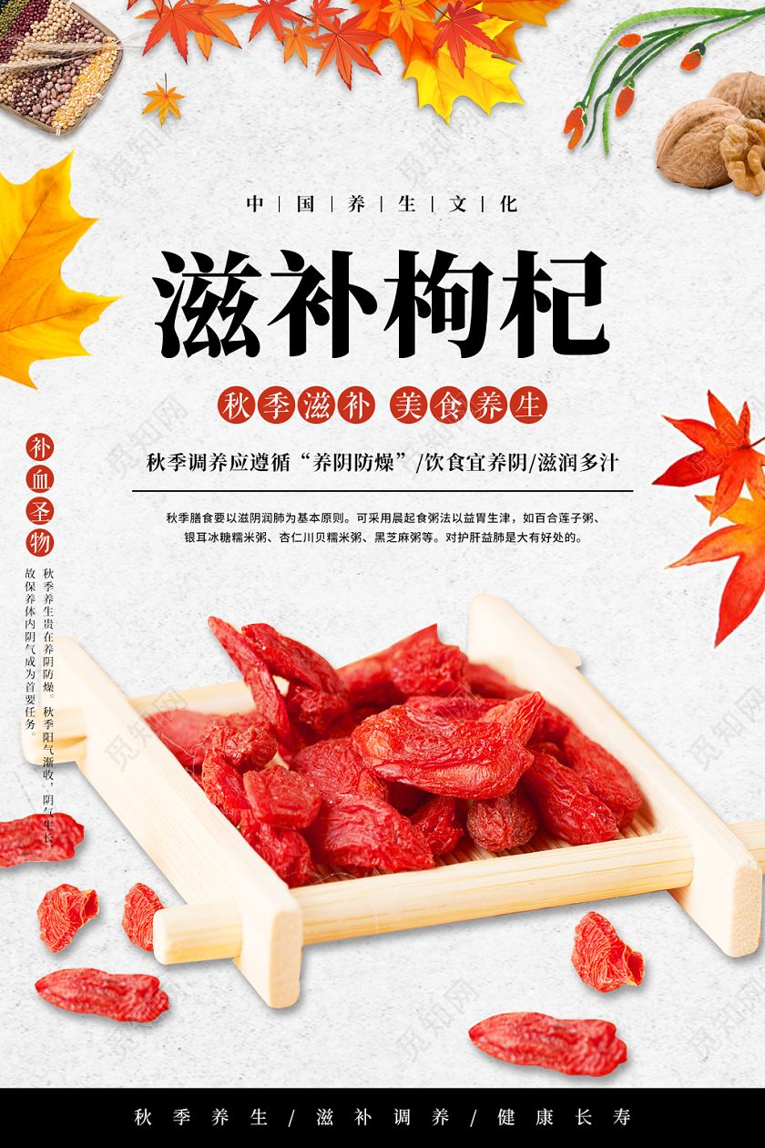 简约大气滋补枸杞秋季养生文化宣传海报