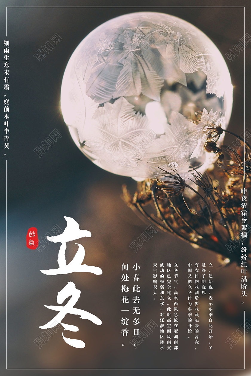 传统节气中国传统二十四节气立冬结冰冬季简约唯美海报