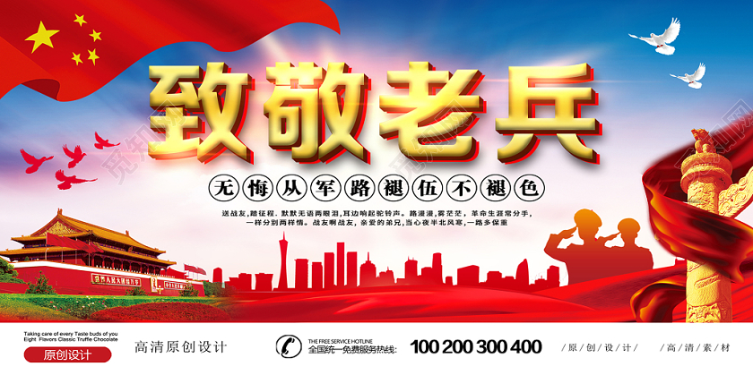 部队蓝色党建党政党课军人战士退伍致敬老兵宣传展板