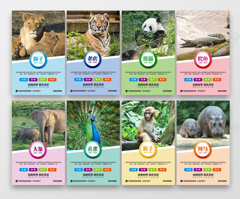 彩色简约动物园宣传引导海报