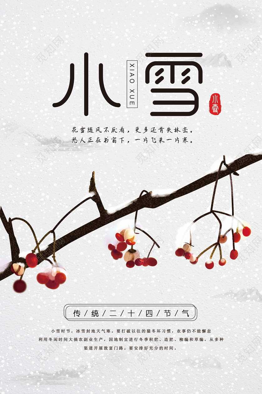 小雪中国传统节气二十四节气红果下雪积雪树枝节气海报