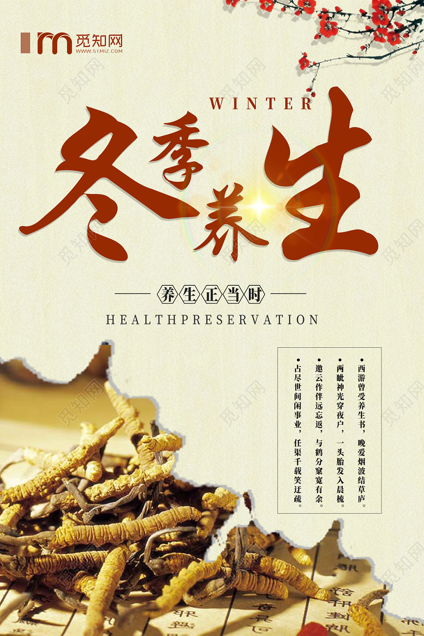 简约风冬季养生药膳冬虫夏草海报