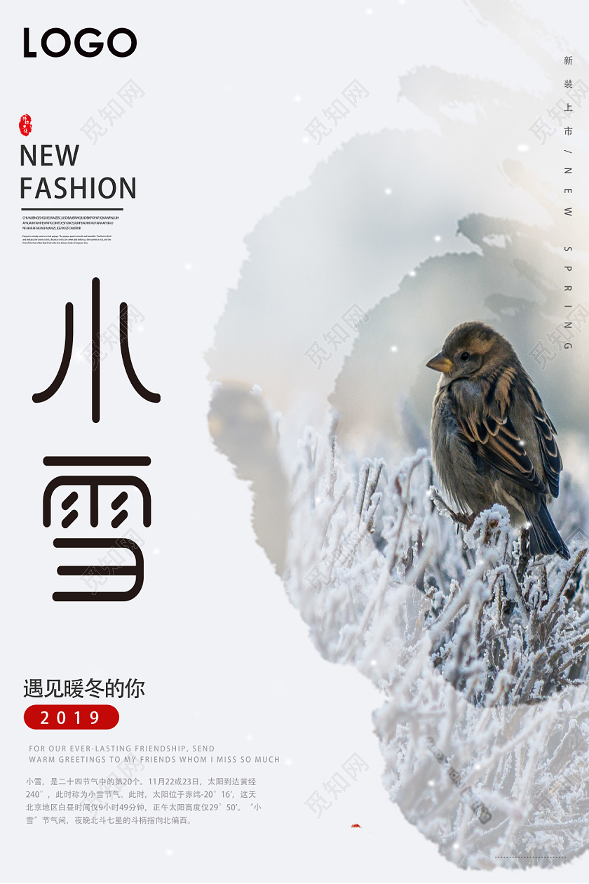 白色简约小雪二十四节气海报