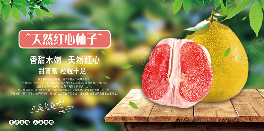 冬天冬季水果柚子红心柚宣传展板绿色天然实拍柚子水果皇后双面展