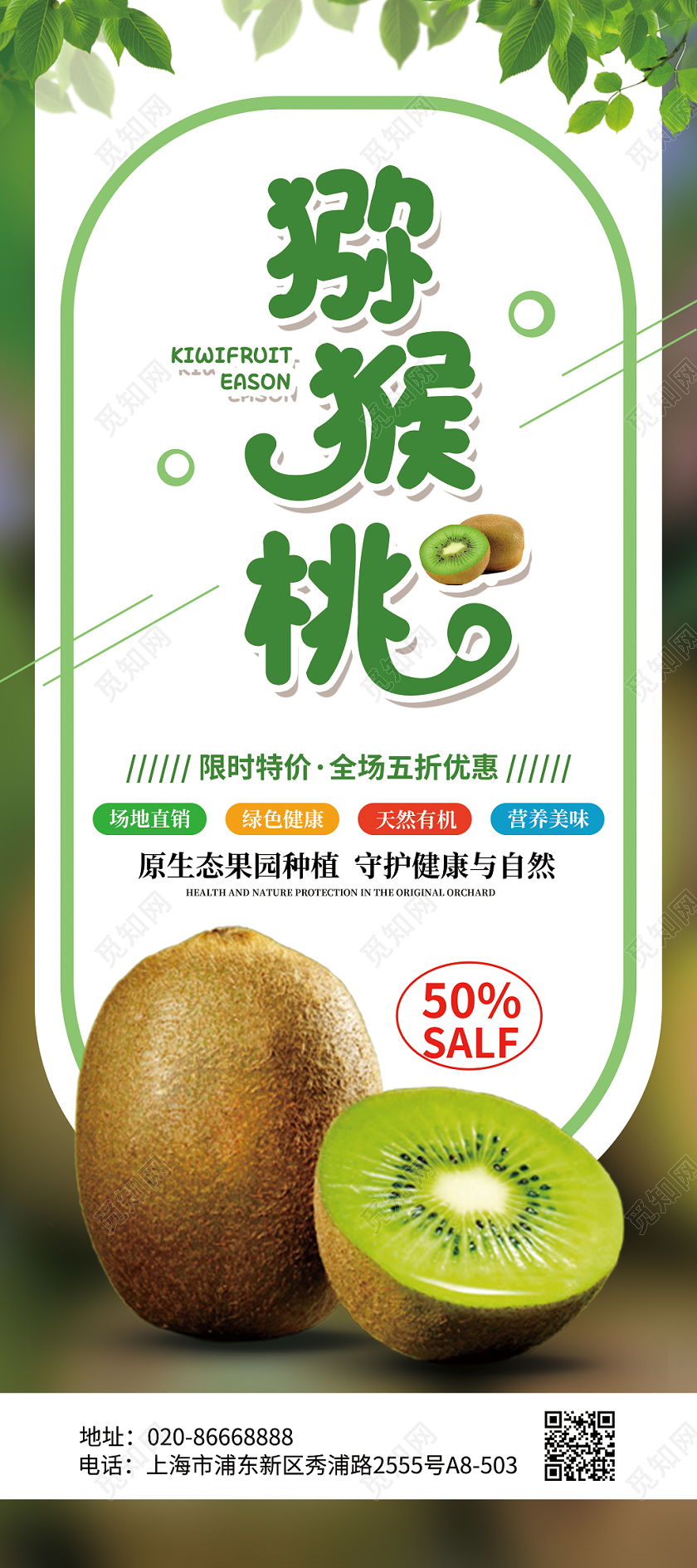 绿色简约冬天冬季水果猕猴桃宣传促销展架