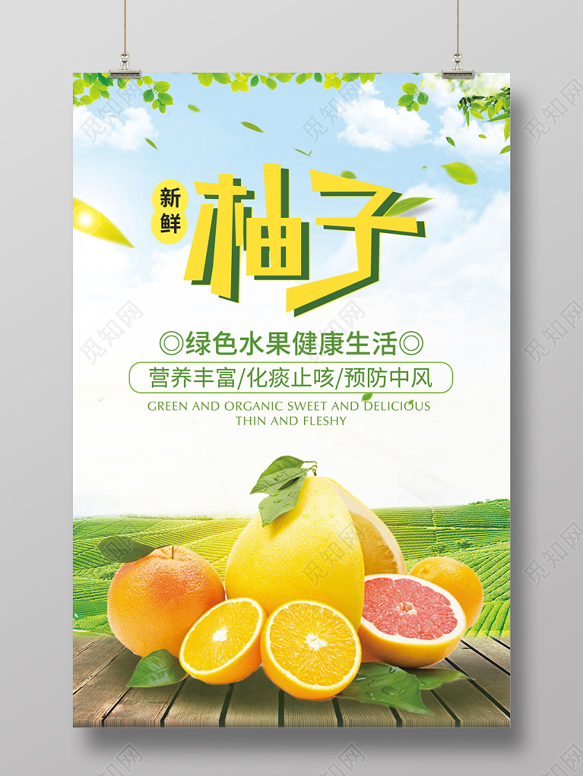 冬季水果新鲜水果柚子海报