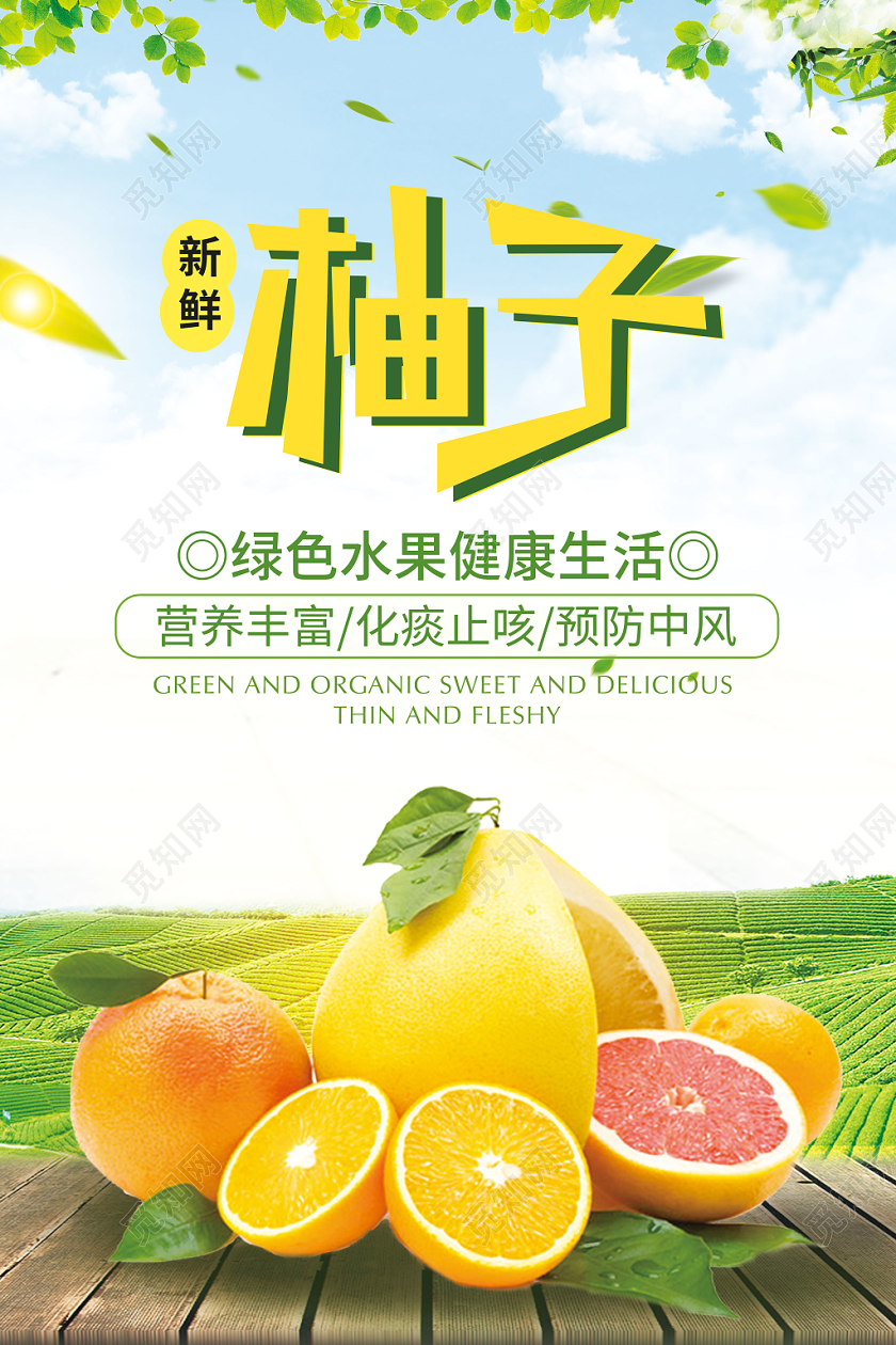 冬季水果新鲜水果柚子海报