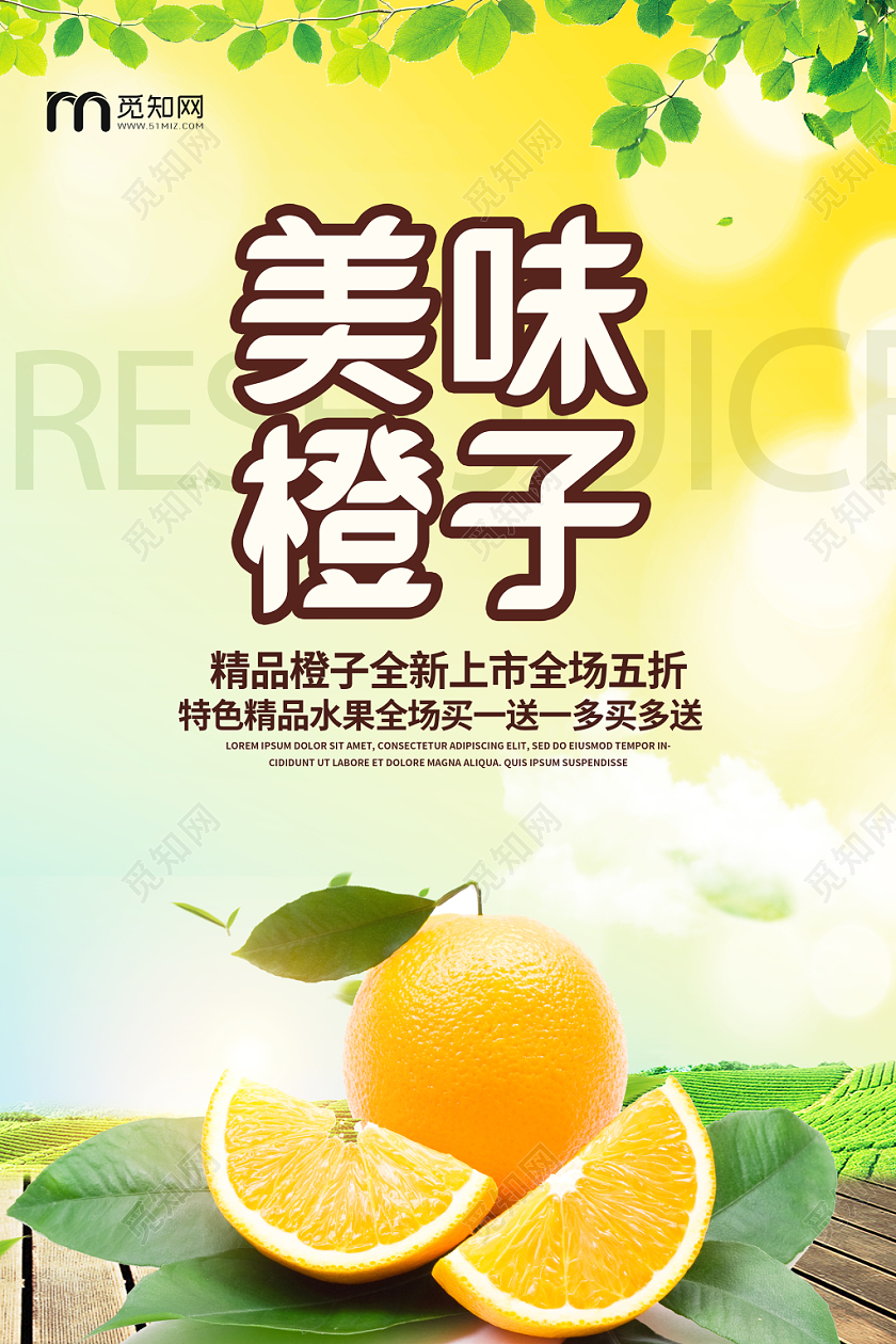 清新简约冬季美味橙子水果宣传促销海报