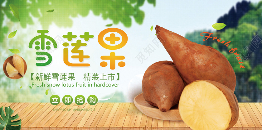 简约冬季水果雪莲果宣传海报展板
