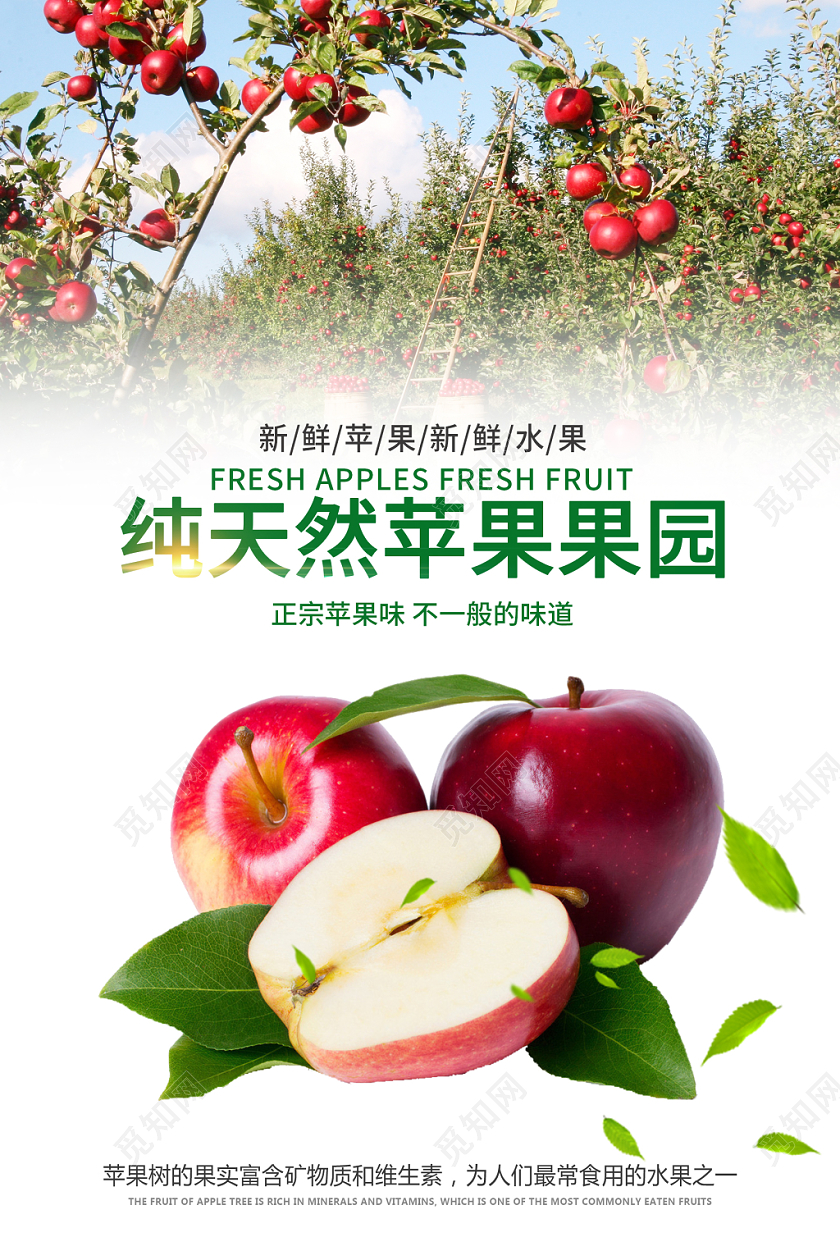 白色简约清新纯天然苹果果园水果苹果宣传海报