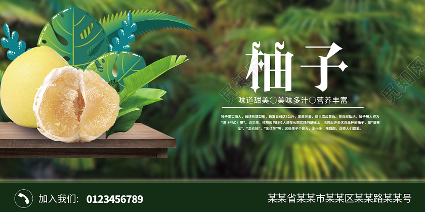 绿色植物蓝天冬季水果柚子展板