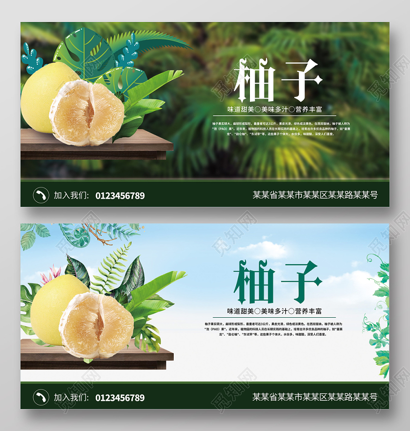 绿色植物蓝天冬季水果柚子展板