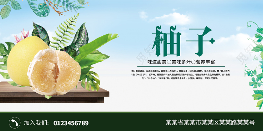 绿色植物蓝天冬季水果柚子展板