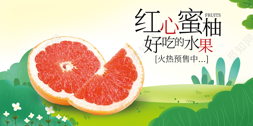 绿色植物草地红心蜜柚冬季水果柚子展板