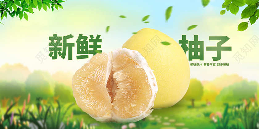 蓝天绿地新鲜冬季水果柚子美味展板