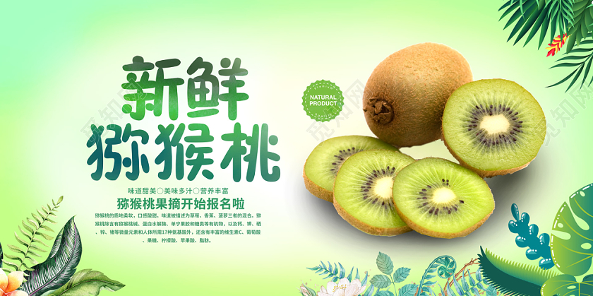 彩色炫光冬季水果猕猴桃新鲜美味展板