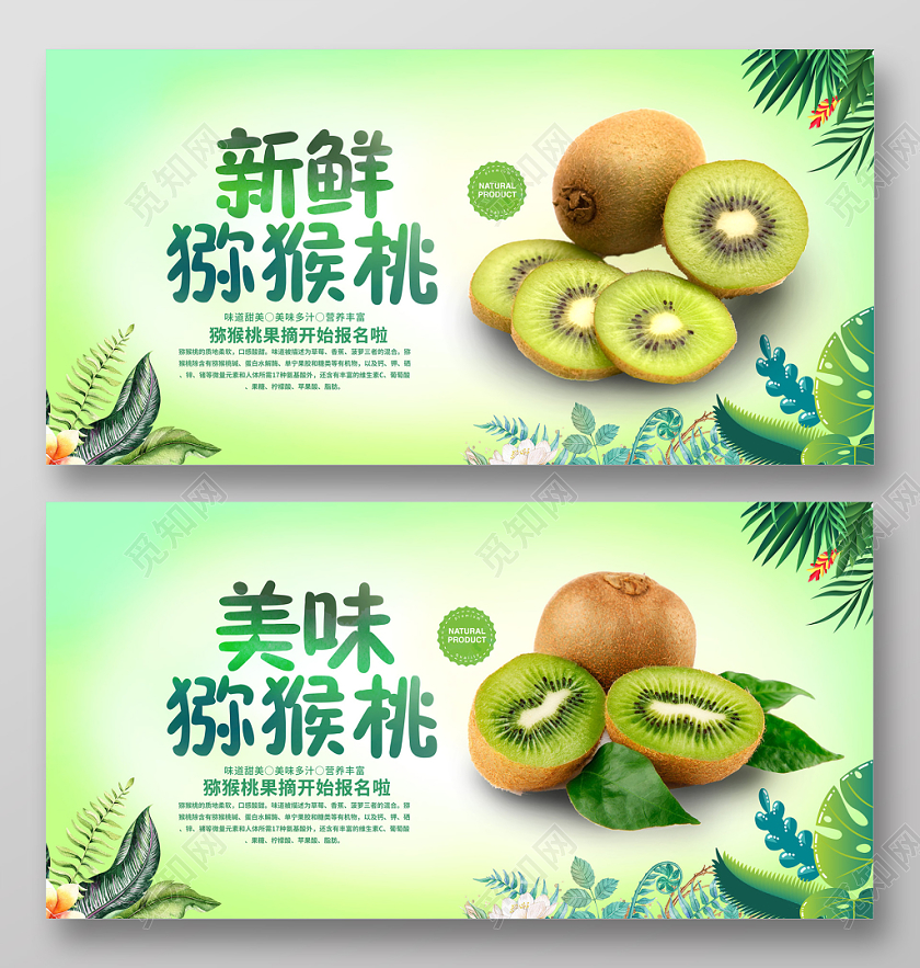 彩色炫光冬季水果猕猴桃新鲜美味展板
