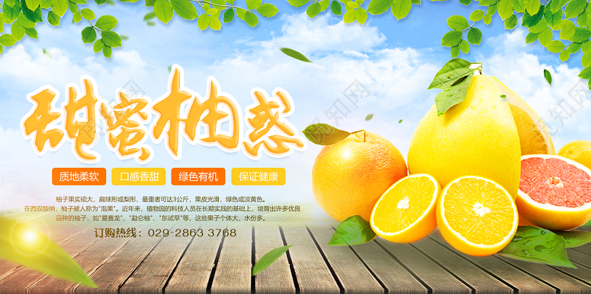 实拍创意简约纹理冬天冬季水果柚子甜蜜柚惑展板