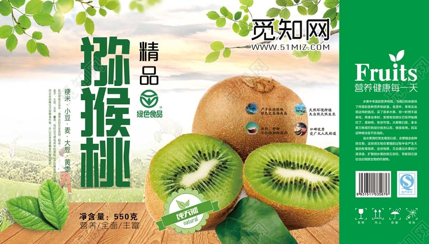 创意经典水果猕猴桃猕猴桃手提盒