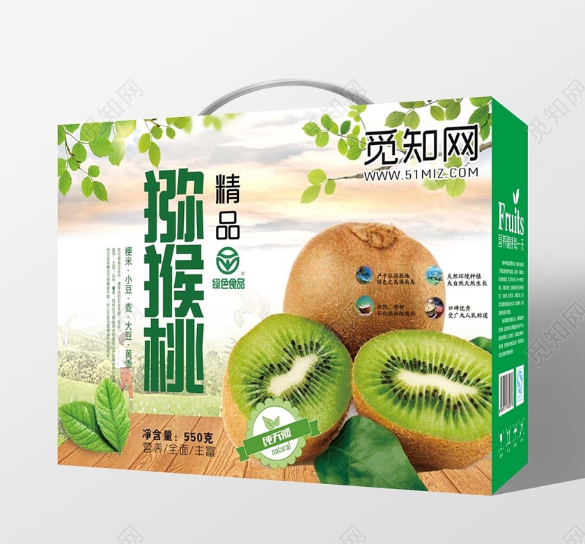 创意经典水果猕猴桃猕猴桃手提盒