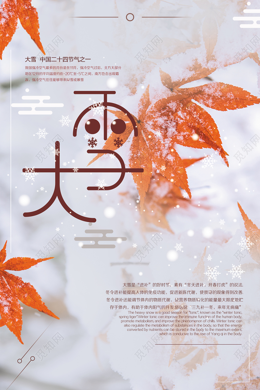 红色挂雪枫叶传统二十四节气之一大雪宣传海报
