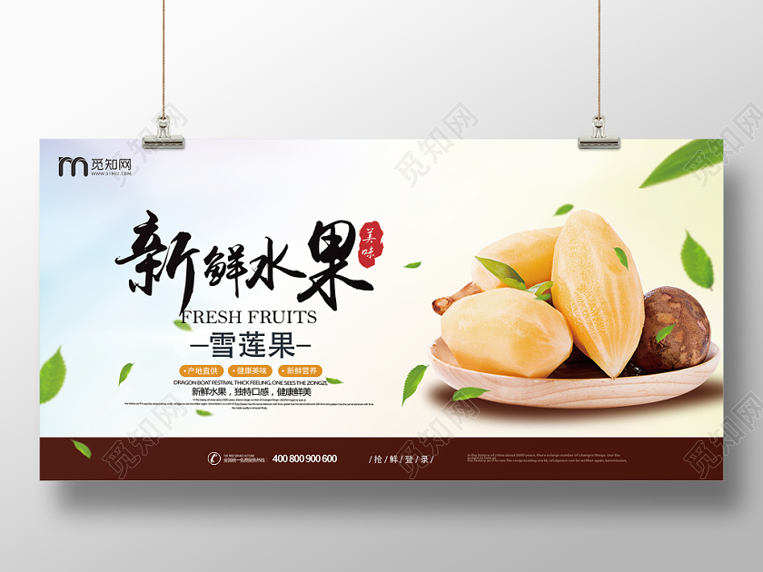 冬季水果新鲜水果雪莲果展板