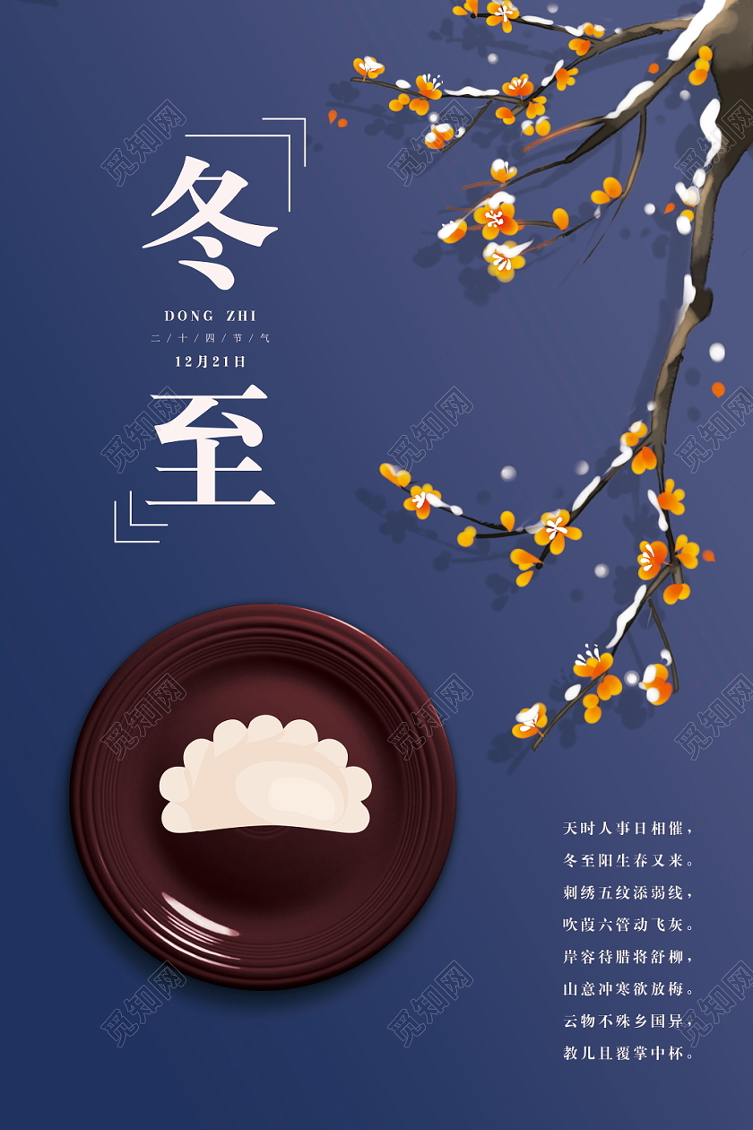 中国二十四节气传统节日冬至冬天饺子梅花节气蓝色