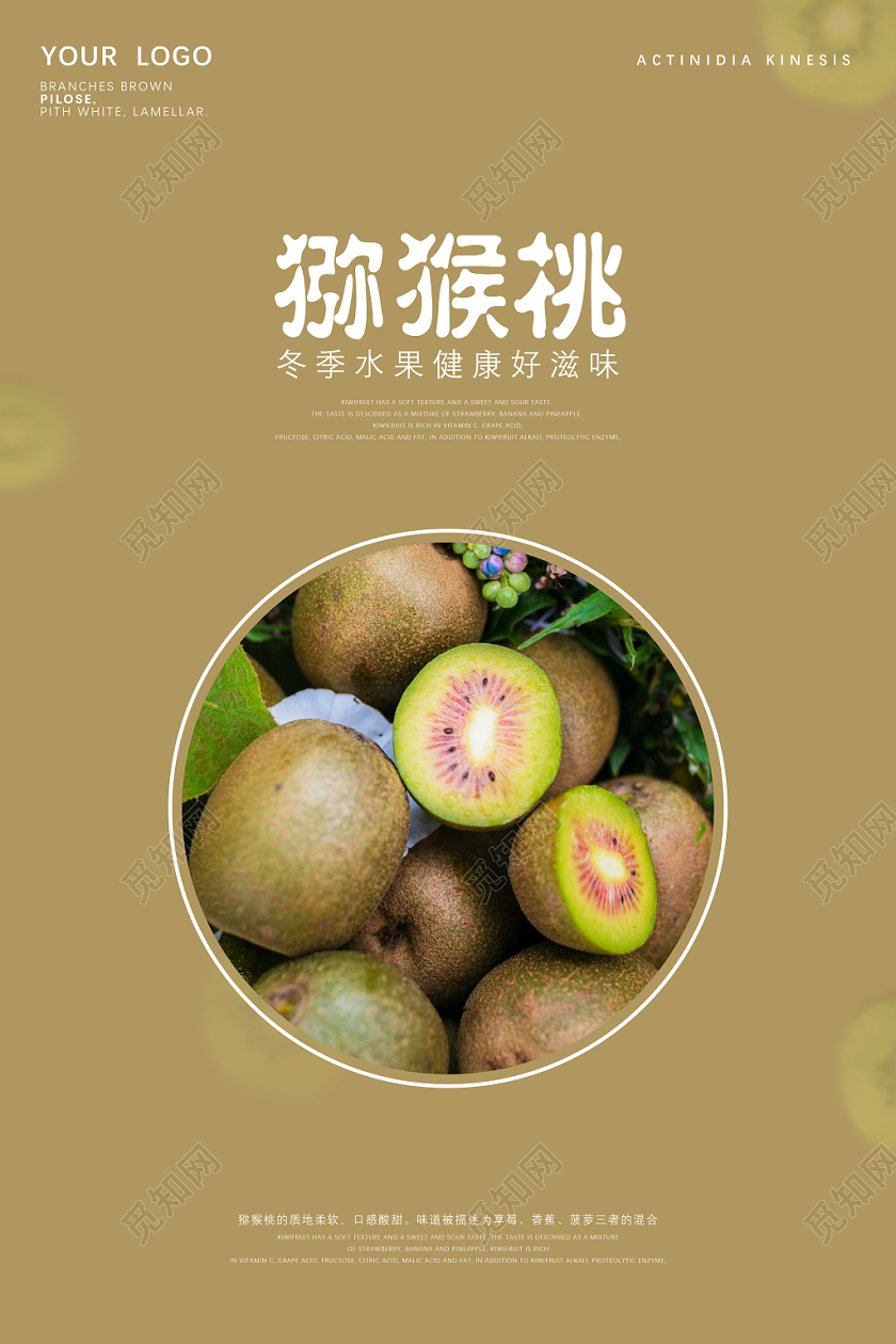 简约大气纹理冬季水果猕猴桃宣传海报