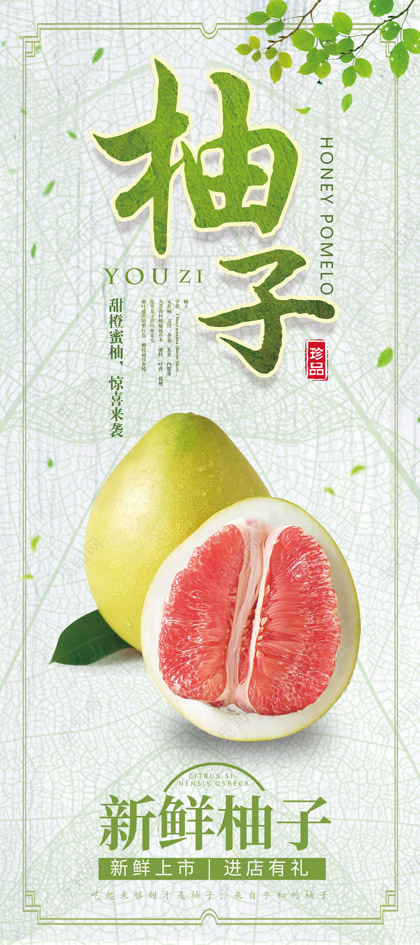 简约大气新鲜柚子冬季水果展架简约清新新鲜柚子冬季水果展架