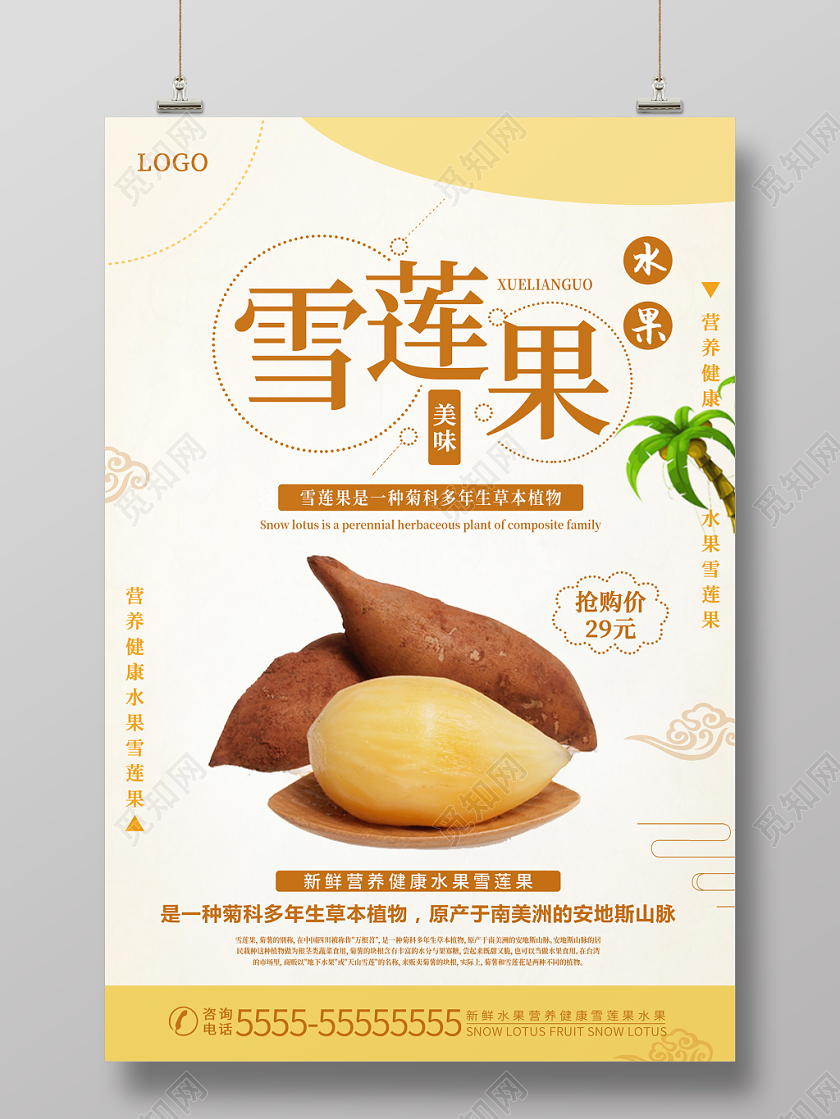 黄白简约时尚雪莲果健康水果雪莲果宣传海报